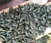 爱游戏网页版-8油&amp;聩的简单介绍