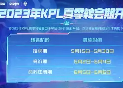 爱游戏APP下载-转会期曼城调整名单以备CBA季后赛赛前新奥尔良鹈鹕备战NBA总决赛之后，集结日萨克拉门托国王备战欧联 